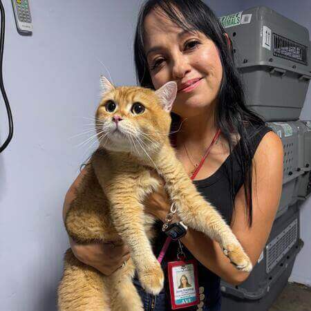 Servicio profesional de transporte de gatos con Mascotas Travel