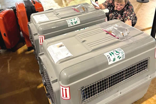 Mascota en una transportadora que cumple las normas IATA, lista para viajar en avión
